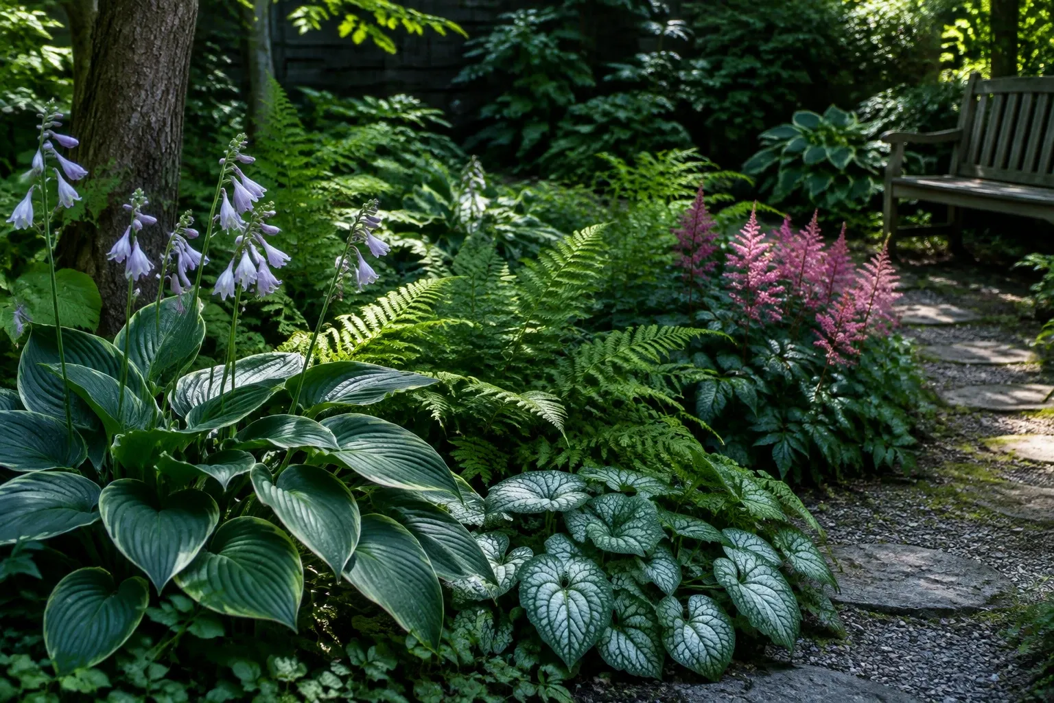 Schaduwtuin met hosta's, varens, brunnera en astilbe langs schelpenpad en bankje