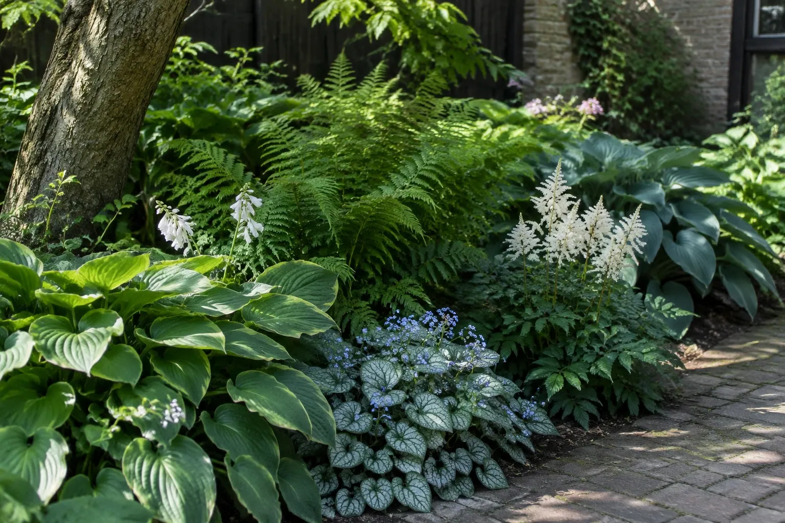 Schaduwtuin met varens, brede hosta's en witte astilbe langs bestrating